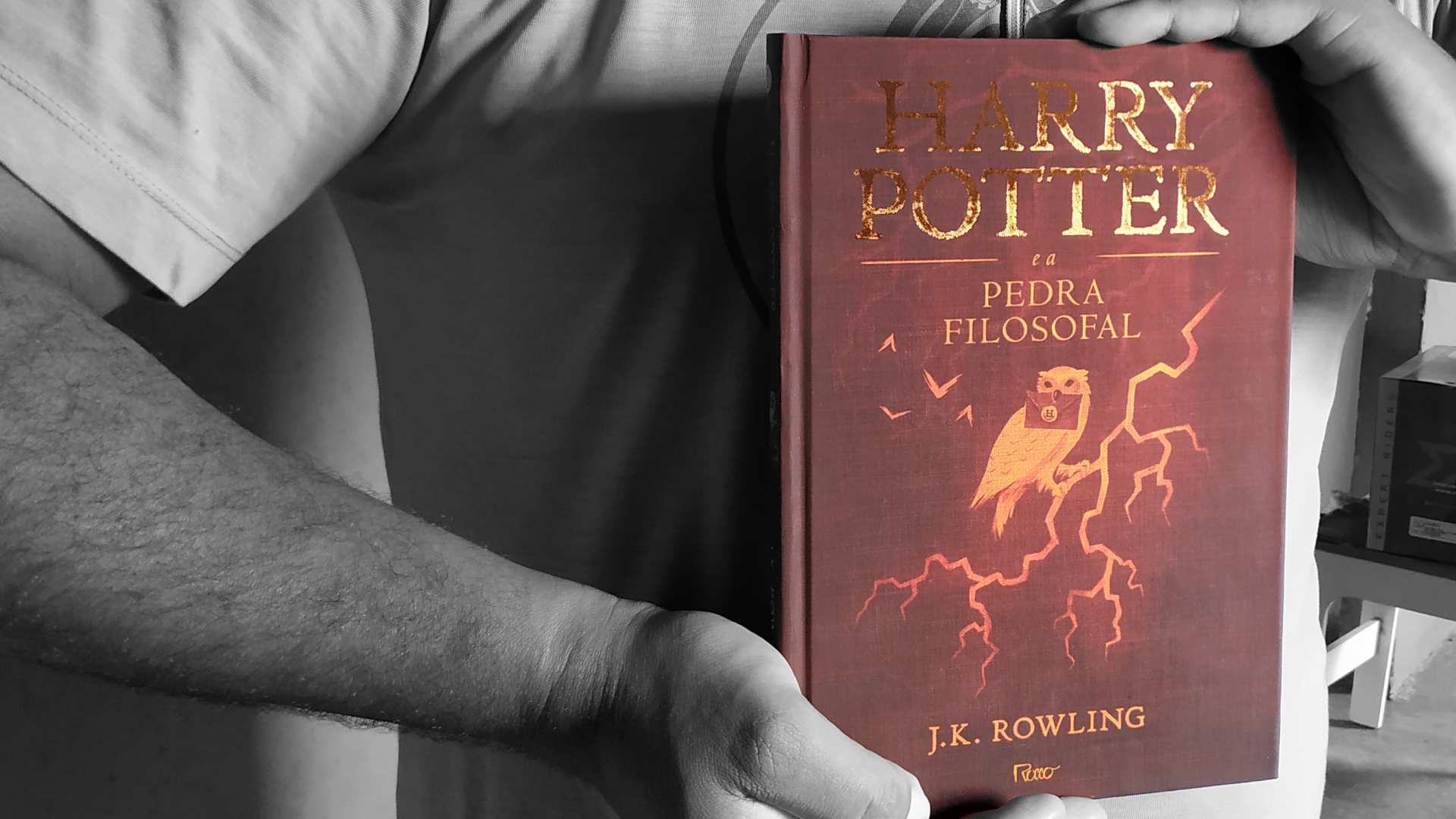 Leia mais sobre o artigo Harry Potter